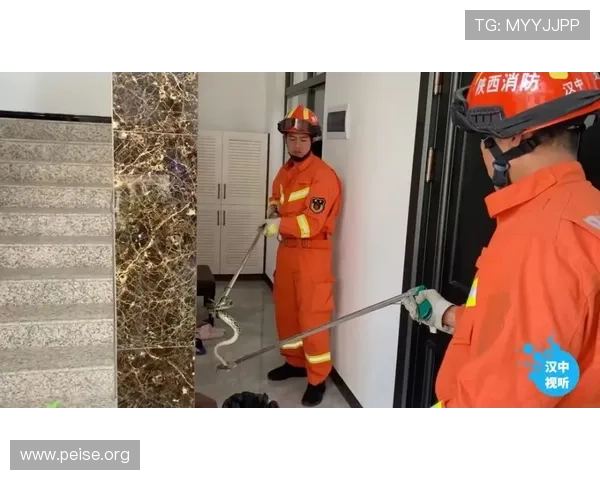 亚洲城官方平台最新安全保障措施全面解析助你安心游戏体验