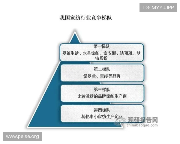 亚洲城属于哪个社区的详细背景介绍及其在行业中的影响力分析