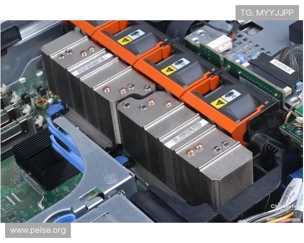 亚洲诚信网站服务器查询帮助玩家快速确认游戏服务器的真实可靠性与安全性