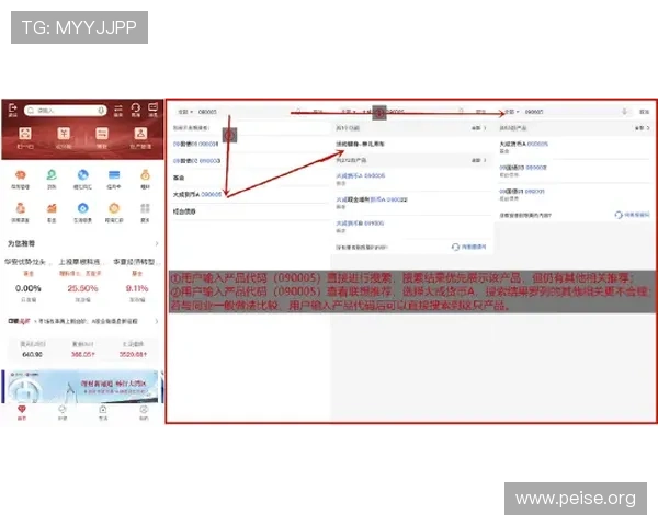 解决亚洲银行app下载电脑过程中常见问题的实用方法与建议