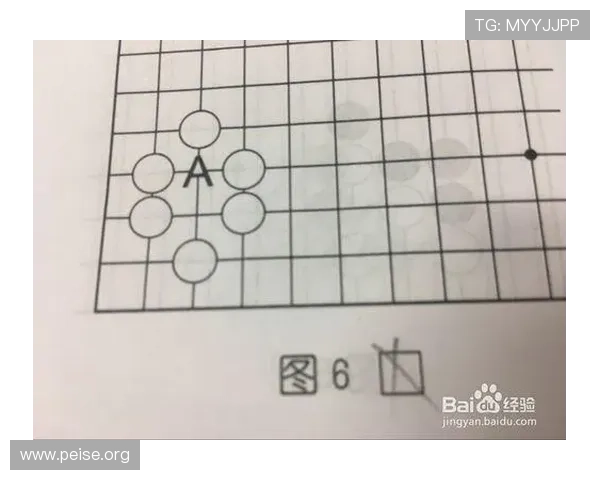 38棋牌新手入门指南，帮助初学者快速掌握游戏规则与技巧