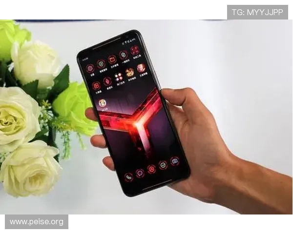 ca855平台安全性分析及其在网络游戏中的应用前景探讨