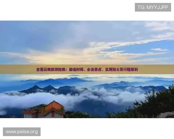 ca887航班延误原因及应对措施详细指南为旅客提供实用解决方案