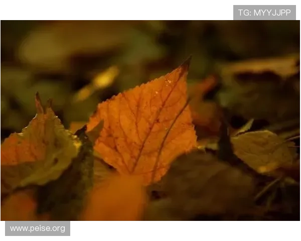 ca8876的到达时间延误原因分析及应对策略，帮助玩家减少等待焦虑