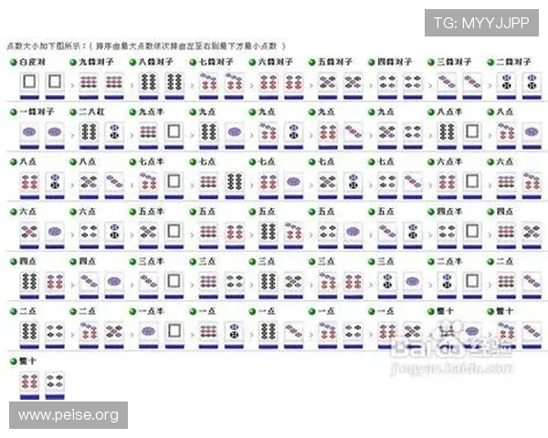 二八杠的春天：行业专家分享成功案例，助力二八杠游戏市场实现快速增长