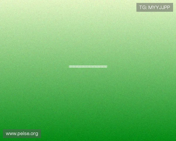 亚洲必赢登录操作流程详解，新手玩家快速上手的实用指南